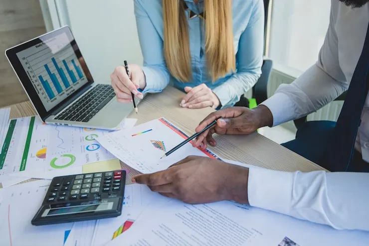Budget Management and Bidding Strategy